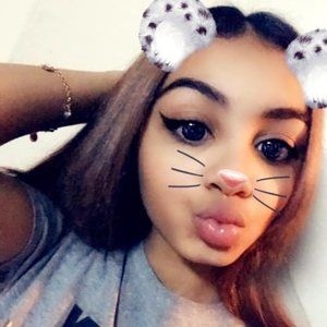 Meet your Posher, Käyłä